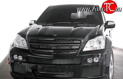 7 349 р. Вставки для модульной оптики ПТФ BRABUS Mercedes-Benz GL class X164 рестайлинг (2009-2012) (Без оптических модулей)  с доставкой в г. Чебоксары