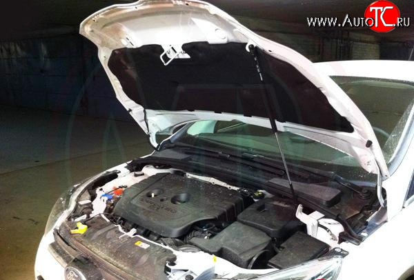 2 969 р. Упор капота Sport Ford Focus 3 седан рестайлинг (2014-2019)  с доставкой в г. Чебоксары