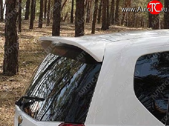 2 899 р. Спойлер CT Chevrolet Aveo T200 хэтчбек 5 дв (2002-2008) (Неокрашенный)  с доставкой в г. Чебоксары
