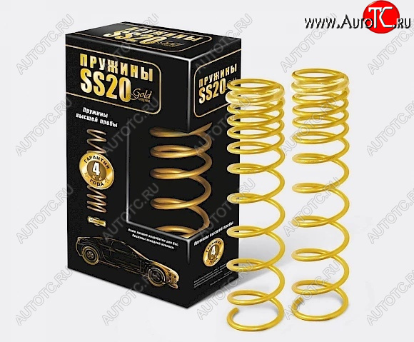 8 949 р. Пружины задние SS20 серии Gold Progressive Datsun on-DO седан дорестайлинг (2014-2019)  с доставкой в г. Чебоксары