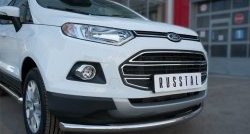 15 649 р. Одинарная защита переднего бампера диаметром 63 мм SLITKOFF  Ford EcoSport (2013-2019) дорестайлинг  с доставкой в г. Чебоксары. Увеличить фотографию 3