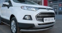 13 749 р. Защита переднего бампера (Ø75х42 мм, нержавейка) Russtal Ford EcoSport дорестайлинг (2013-2019)  с доставкой в г. Чебоксары. Увеличить фотографию 2