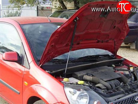 2 969 р. Упор капота Sport Ford Fiesta 5 хэтчбэк 5 дв. дорестайлинг (2001-2005) (с кронштейном)  с доставкой в г. Чебоксары