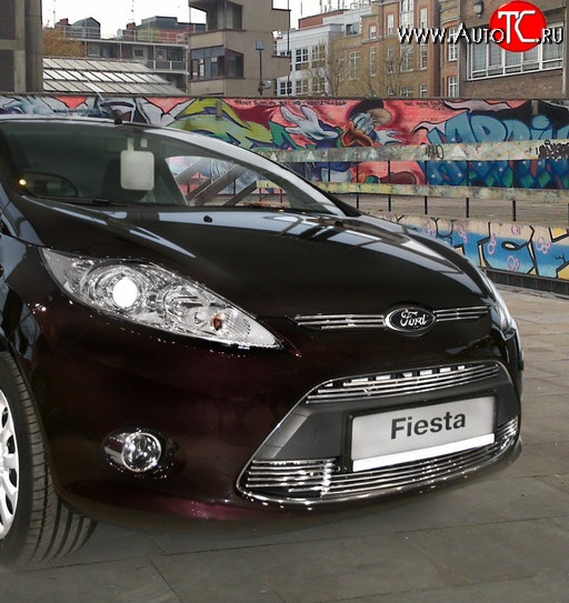 4 994 р. Декоративные вставки воздухозаборника Souz-96 Ford Fiesta 6 хэтчбэк 5 дв. дорестайлинг (2008-2012)  с доставкой в г. Чебоксары