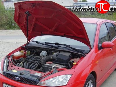 2 969 р. Упор капота Sport Ford Focus 3 седан рестайлинг (2014-2019)  с доставкой в г. Чебоксары