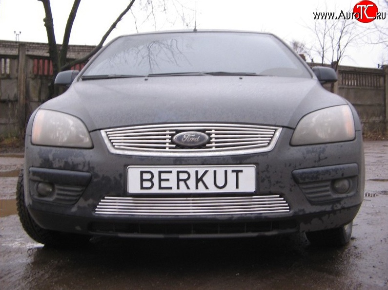4 999 р. Декоративная вставка решетки радиатора Berkut Ford Focus 2 универсал дорестайлинг (2004-2008)  с доставкой в г. Чебоксары