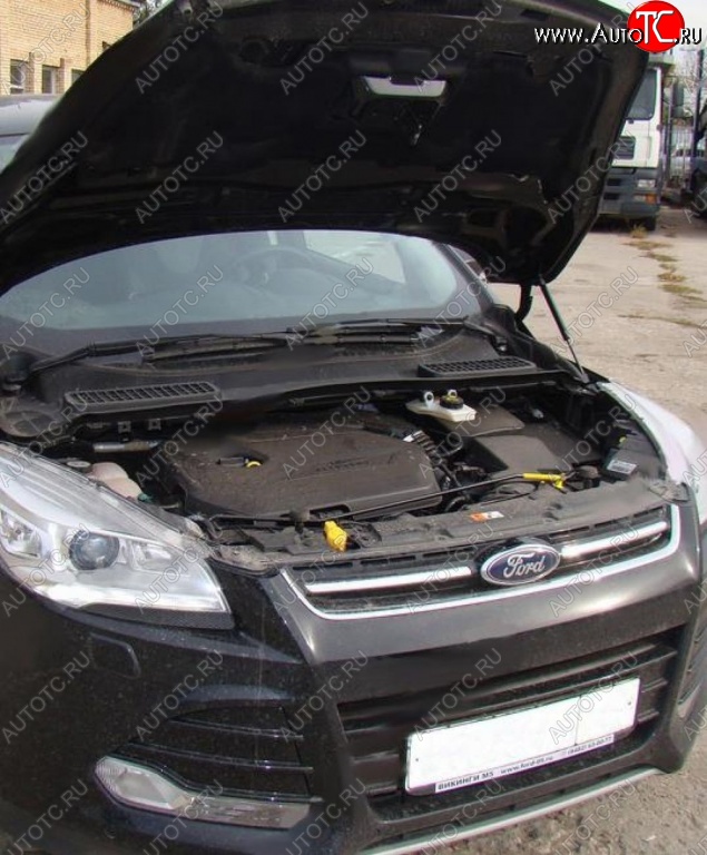 2 199 р. Газовые упоры капота Berkut Ford Kuga 2 дорестайлинг (2013-2016)  с доставкой в г. Чебоксары