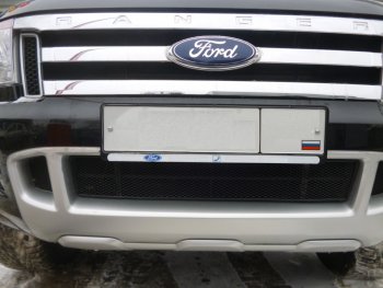 Сетка в воздухозаборник бампера Arbori (20 мм, сота) Ford Ranger ( DoubleCab,  RapCab) (2011-2016) дорестайлинг (Черная)