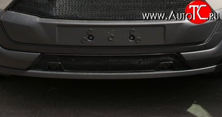 4 229 р. Сетка на бампер Novline  Ford Tourneo Custom (2012-2018) дорестайлинг  с доставкой в г. Чебоксары
