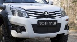 2 659 р. Защитная сетка решетки переднего бампера РА  Great Wall Hover H3 (2010-2014)  дорестайлинг  с доставкой в г. Чебоксары. Увеличить фотографию 3