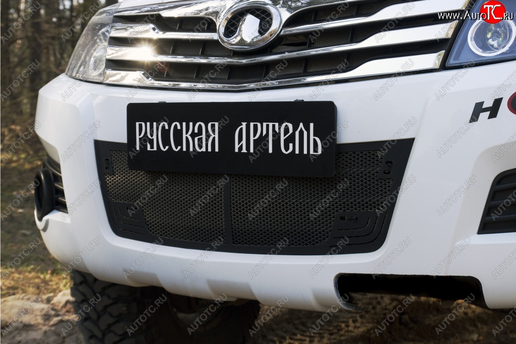 2 659 р. Защитная сетка решетки переднего бампера РА  Great Wall Hover H3 (2010-2014)  дорестайлинг  с доставкой в г. Чебоксары