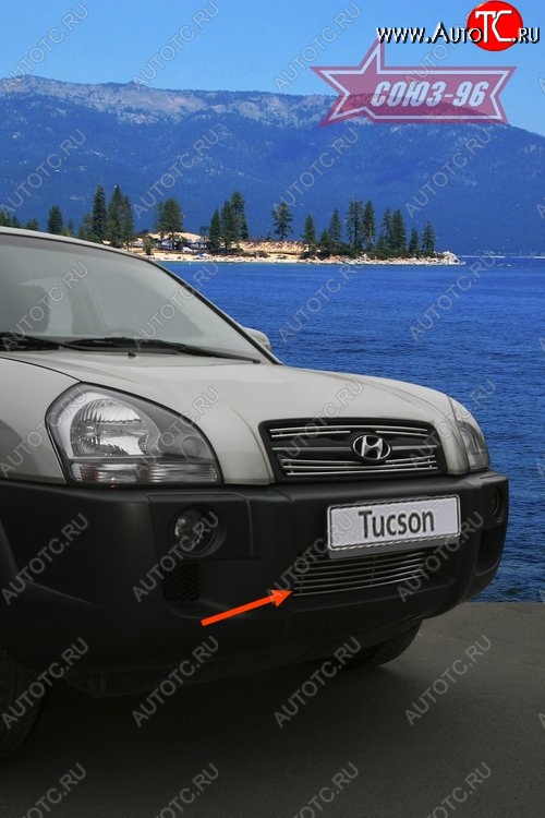 3 554 р. Декоративный элемент воздухозаборника Souz-96 (d10)  Hyundai Tucson  JM (2004-2010)  с доставкой в г. Чебоксары