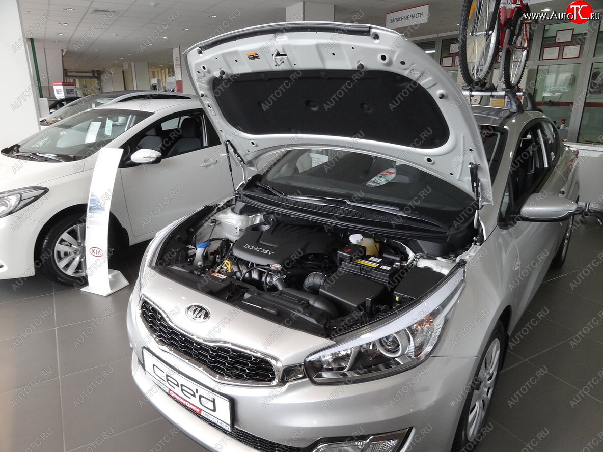 2 049 р. Упоры капота Russtal KIA Ceed 2 JD рестайлинг, хэтчбэк (2015-2018)  с доставкой в г. Чебоксары