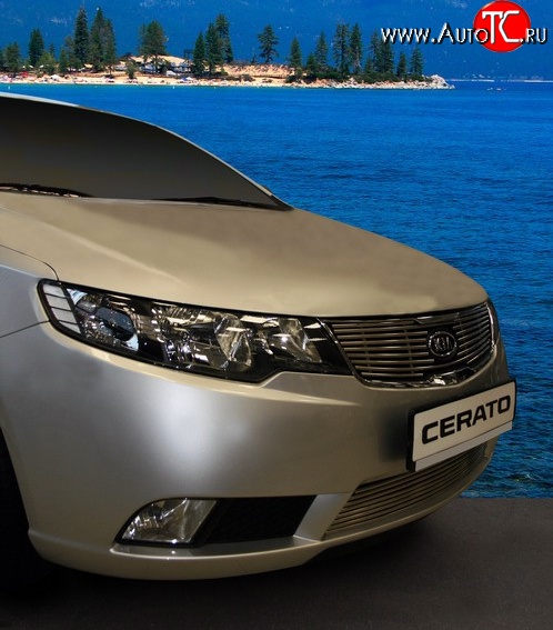 3 734 р. Декоративная вставка решетки радиатора Novline  KIA Cerato  2 TD (2008-2013) седан  с доставкой в г. Чебоксары