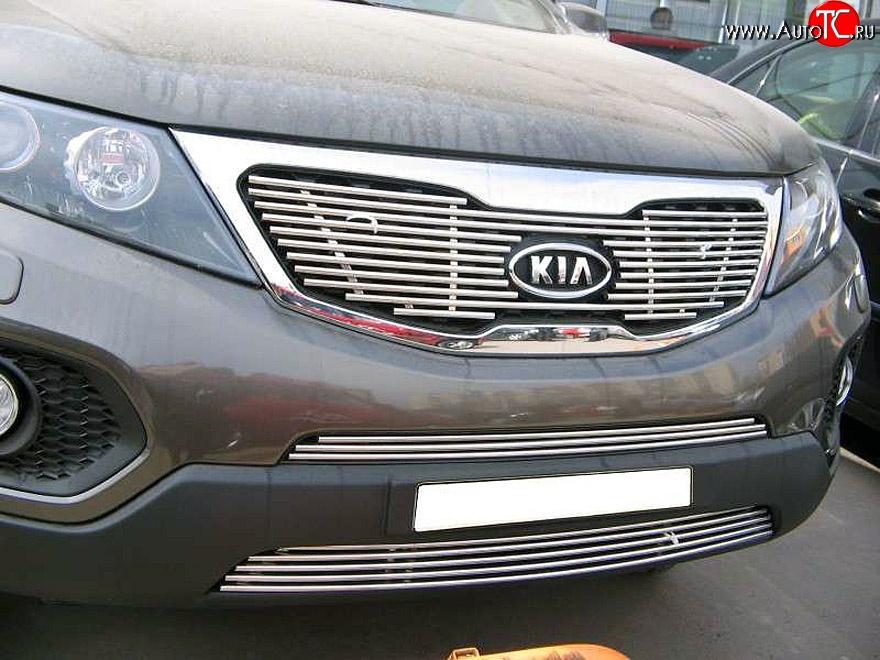 5 799 р. Декоративная вставка решетки радиатора XM Berkut KIA Sorento XM дорестайлинг (2009-2012)  с доставкой в г. Чебоксары