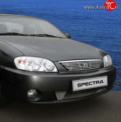 3 914 р. Декоративная вставка решетки радиатора Novline KIA Spectra (2000-2009)  с доставкой в г. Чебоксары
