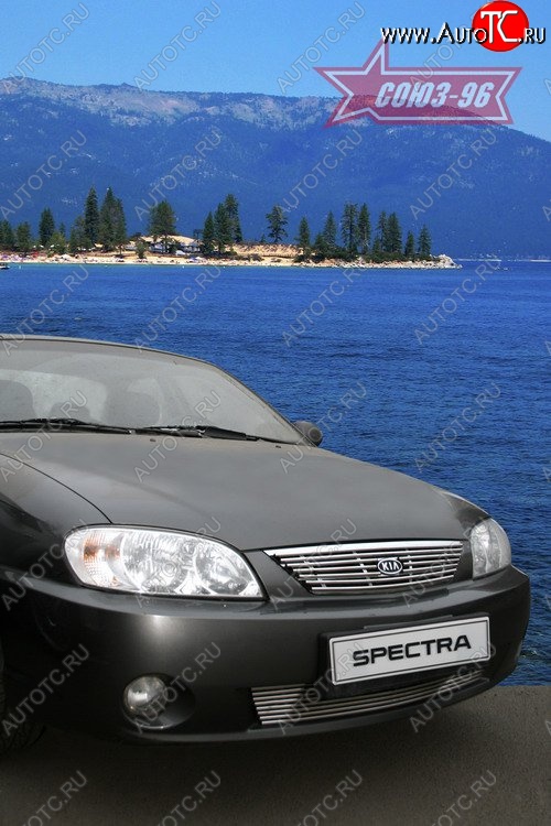 4 274 р. Декоративный элемент решётки радиатора Souz-96 (d10) KIA Spectra (2000-2009)  с доставкой в г. Чебоксары