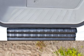 1 679 р. Накладка на внутренние пороги дверей RA  Mercedes-Benz Sprinter  W906 (2006-2013)  с доставкой в г. Чебоксары. Увеличить фотографию 3