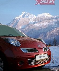 Декоративная вставка воздухозаборника в бампер Souz-96 Nissan Micra  K12 (2002-2010) 5 дв. дорестайлинг, 5 дв. 2-ой рестайлинг