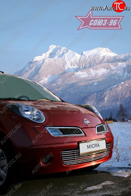 4 004 р. Декоративная вставка воздухозаборника в бампер Souz-96  Nissan Micra  K12 (2002-2010) 5 дв. дорестайлинг, 5 дв. 2-ой рестайлинг  с доставкой в г. Чебоксары