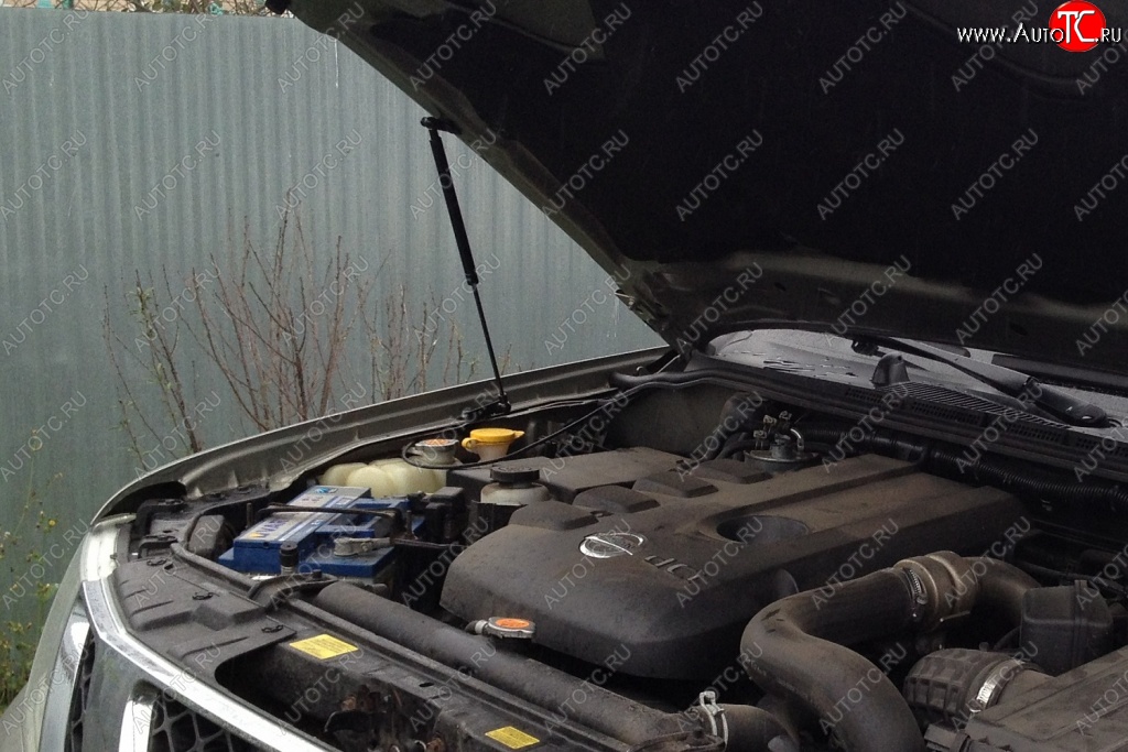 1 699 р. Газовые упоры капота Berkut Nissan Pathfinder R51 рестайлинг (2009-2014)  с доставкой в г. Чебоксары