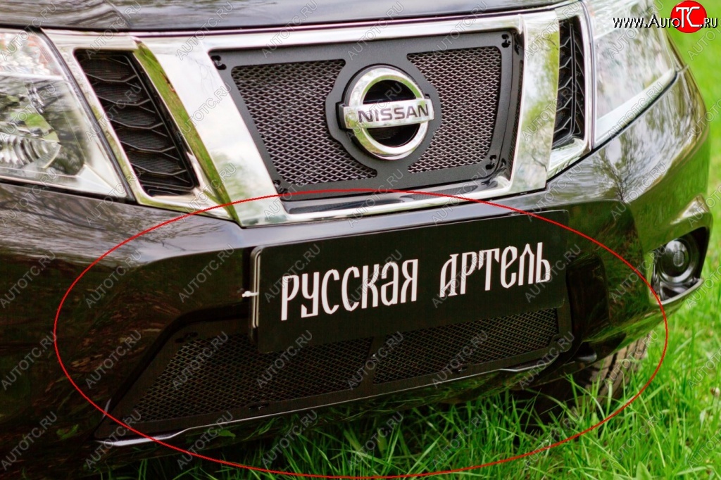 2 589 р. Защитная сетка решетки переднего бампера РА Nissan Terrano D10 рестайлинг (2016-2022)  с доставкой в г. Чебоксары