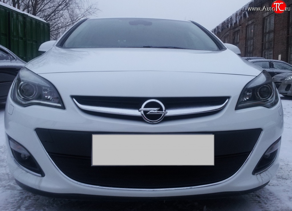 1 469 р. Сетка на бампер Russtal (черная) Opel Astra J хэтчбек 5 дв.  рестайлинг (2012-2017)  с доставкой в г. Чебоксары