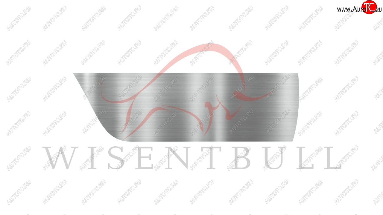 1 989 р. Ремкомплект правой двери Wisentbull Peugeot 206 универсал 2EK рестайлинг (2002-2006)  с доставкой в г. Чебоксары