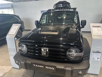 21 599 р. Накладки на капот RALEX  Tank 300 (2020-2025) (черный матовый)  с доставкой в г. Чебоксары. Увеличить фотографию 22