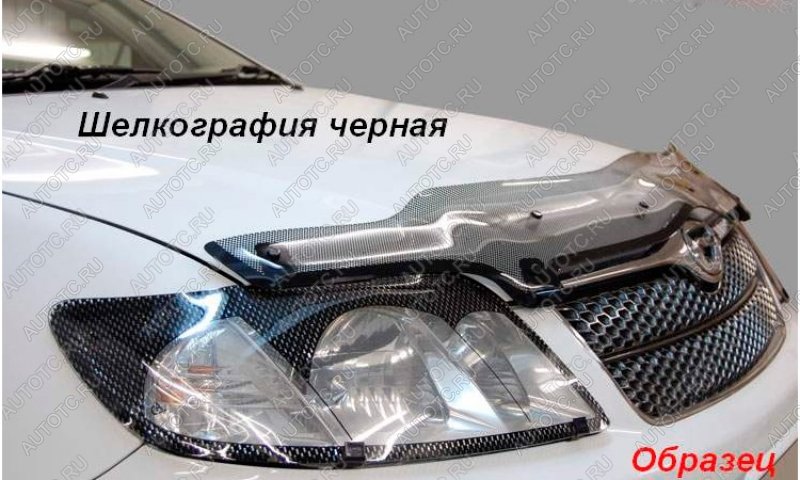 1 999 р. Защита фар CA-Plastic Nissan Liberty рестайлинг (2001-2004) (Шелкография черная)  с доставкой в г. Чебоксары