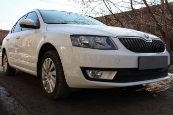 6 999 р. Защитная сетка в бампер (низ, 2 части, компл.Ambition,Elegance,Style, ячейка 4х10 мм) Стрелка11 Премиум Skoda Octavia A7 дорестайлинг лифтбэк (2012-2017) (Чёрная)  с доставкой в г. Чебоксары. Увеличить фотографию 2