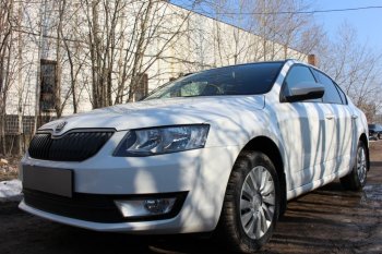 6 999 р. Защитная сетка в бампер (низ, 2 части, компл.Ambition,Elegance,Style, ячейка 4х10 мм) Стрелка11 Премиум Skoda Octavia A7 дорестайлинг лифтбэк (2012-2017) (Чёрная)  с доставкой в г. Чебоксары. Увеличить фотографию 3