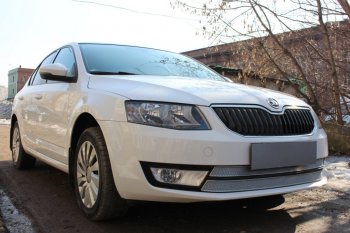 6 999 р. Защитная сетка в бампер (низ, 2 части, компл.Ambition,Elegance,Style, ячейка 4х10 мм) Стрелка11 Премиум Skoda Octavia A7 дорестайлинг лифтбэк (2012-2017) (Хром)  с доставкой в г. Чебоксары. Увеличить фотографию 2
