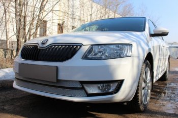 6 999 р. Защитная сетка в бампер (низ, 2 части, компл.Ambition,Elegance,Style, ячейка 4х10 мм) Стрелка11 Премиум Skoda Octavia A7 дорестайлинг лифтбэк (2012-2017) (Хром)  с доставкой в г. Чебоксары. Увеличить фотографию 3