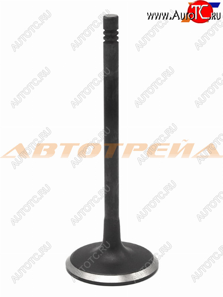 399 р. Клапан впускной (1 шт) NISSAN ALMERA QG16DE SHINHAN 12211-42910  с доставкой в г. Чебоксары