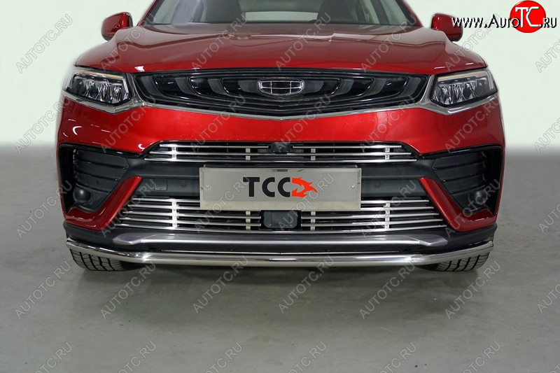 17 999 р. Защита переднего бампера нижняя 42,4 мм ТСС Тюнинг Geely Tugella FY11,HPBA4 дорестайлинг (2019-2023) (нержавейка)  с доставкой в г. Чебоксары