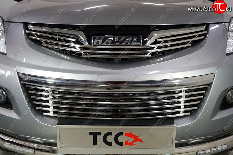4 649 р. Верхняя декоративная вставка решетки радиатора ТСС Тюнинг Haval H5 рестайлинг (2020-2023) (d 12 мм)  с доставкой в г. Чебоксары