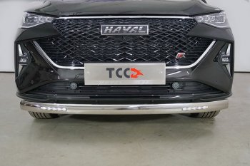 Защита передняя нижняя овальная с ДХО 75х42 мм ТСС Тюнинг Haval F7x рестайлинг (2022-2024) (нержавейка)