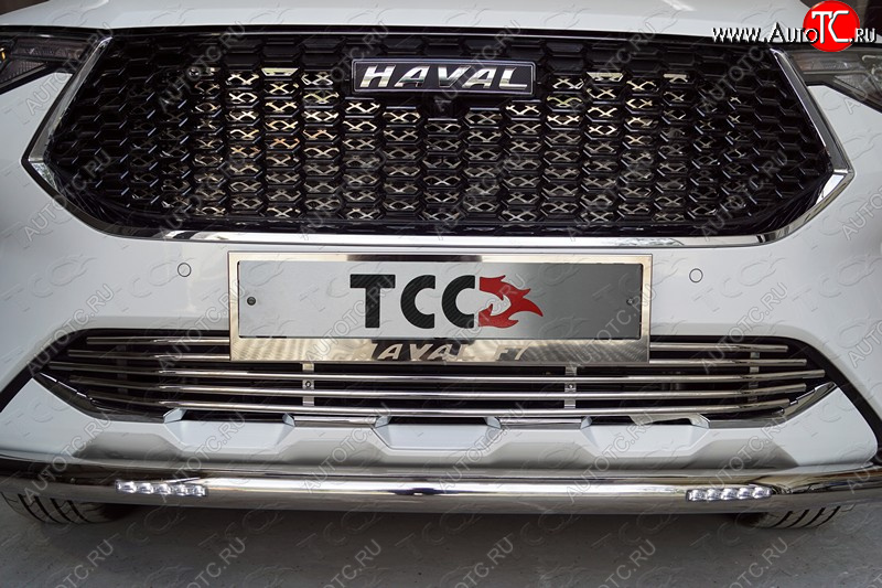 35 999 р. Защита передняя нижняя короткая с ДХО 60,3 мм ТСС Тюнинг Haval F7  дорестайлинг (2018-2022) (нержавейка)  с доставкой в г. Чебоксары