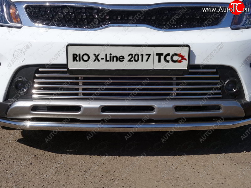 8 799 р. Нижняя декоративная вставка в бампер ТСС Тюнинг KIA Rio X-line (2017-2021) (d 12 мм)  с доставкой в г. Чебоксары