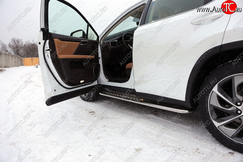 31 999 р. Пороги с площадкой 42,4 мм кроме F-Sport ТСС Тюнинг Lexus RX300 XU10 дорестайлинг (1995-2001) (серые)  с доставкой в г. Чебоксары