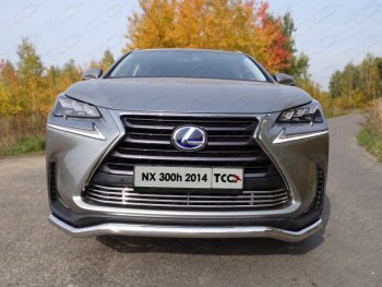 Декоративная вставка переднего бампера (кроме F-Sport) ТСС Тюнинг Lexus NX300h Z10 дорестайлинг (2014-2017) (d 12 мм)