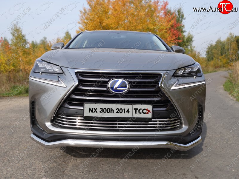 7 349 р. Декоративная вставка переднего бампера (кроме F-Sport) ТСС Тюнинг Lexus NX300h Z10 дорестайлинг (2014-2017) (d 12 мм)  с доставкой в г. Чебоксары