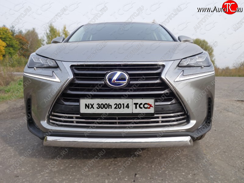 8 799 р. Декоративная вставка переднего бампера (кроме F-Sport) ТСС Тюнинг Lexus NX300h Z10 дорестайлинг (2014-2017) (d 16 мм)  с доставкой в г. Чебоксары