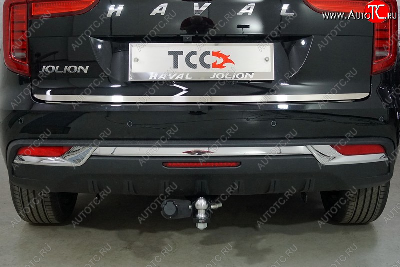 1 999 р. Накладка на заднюю дверь, ТСС Тюнинг Haval Jolion рестайлинг (2024-2025) (Лист шлифованный)  с доставкой в г. Чебоксары