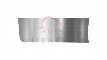 Ремкомплект левой двери Wisentbull Mazda 6 ( GG,  GG, GY) - Atenza  GG