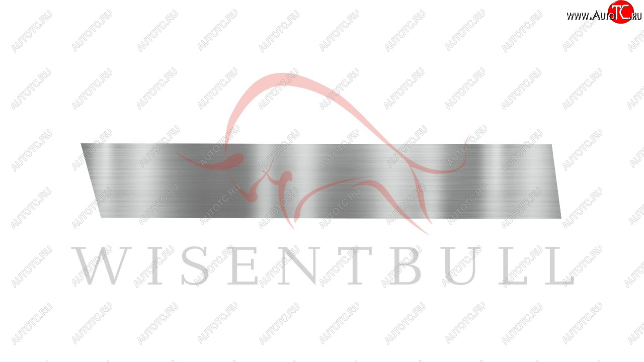 1 989 р. Ремкомплект левой двери Wisentbull  Nissan Almera  N16 - Sunny  N16  с доставкой в г. Чебоксары