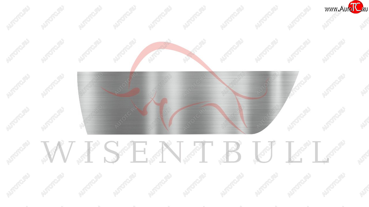 1 989 р. Ремкомплект левой двери Wisentbull  Nissan Almera  N16 - Sunny  N16  с доставкой в г. Чебоксары
