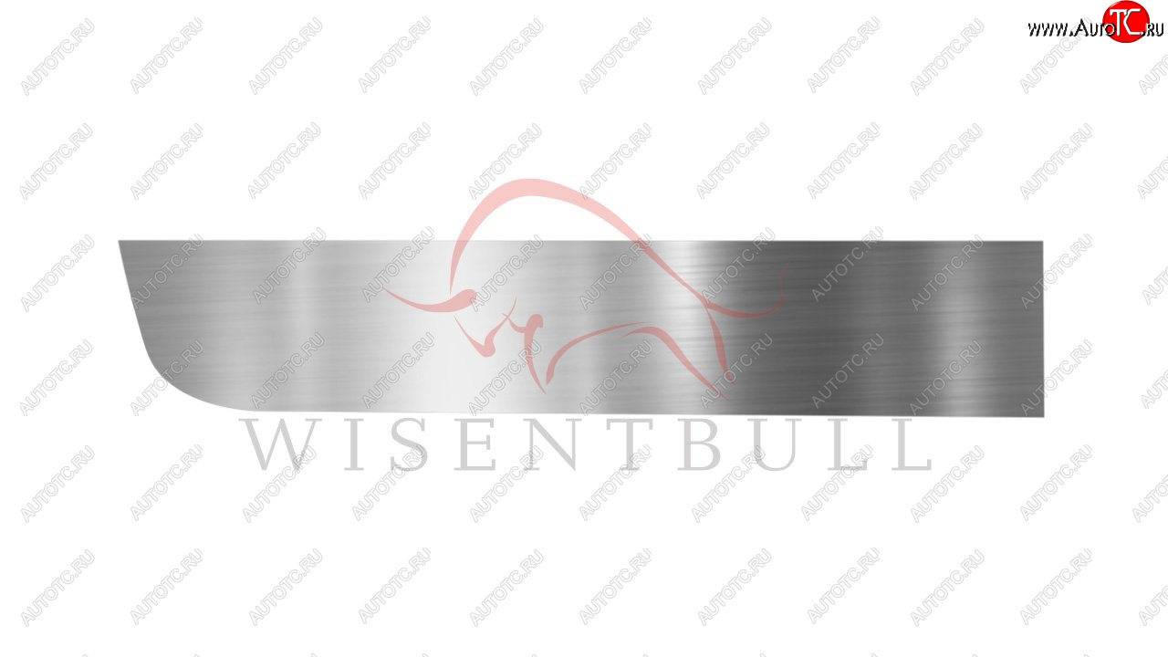 1 989 р. Ремкомплект левой двери Wisentbull  Peugeot 206 ( хэтчбэк 5 дв.,  универсал,  седан) (1998-2009) 2AC дорестайлинг, 2EK рестайлинг, 2AC рестайлинг, 2B рестайлинг  с доставкой в г. Чебоксары