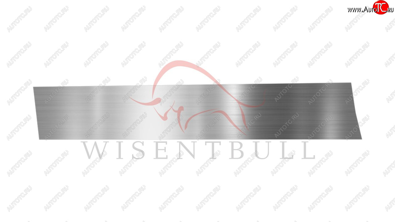 1 989 р. Ремкомплект левой двери Wisentbull Peugeot 406 8E,F универсал рестайлинг (1999-2004)  с доставкой в г. Чебоксары